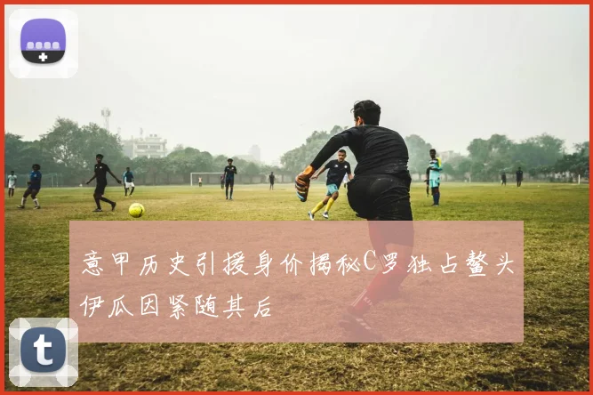 意甲历史引援身价揭秘C罗独占鳌头伊瓜因紧随其后
