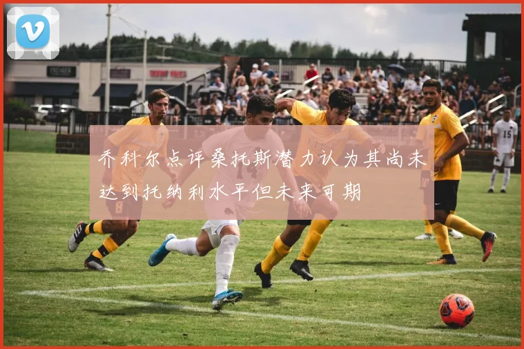 乔科尔点评桑托斯潜力认为其尚未达到托纳利水平但未来可期