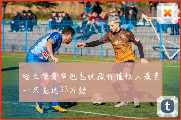 哈兰德奢华包包收藏价值惊人最贵一只竟达33万镑